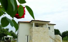 Apartment Karolina 1